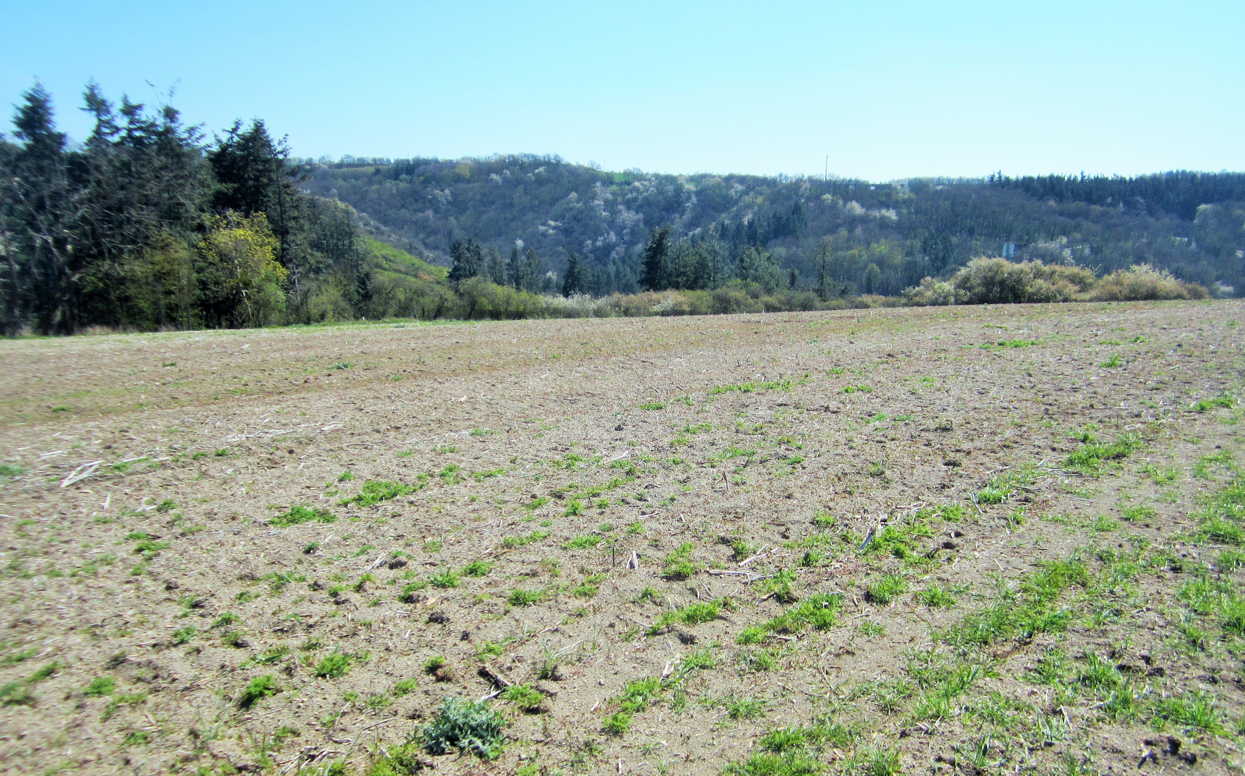 69758638 45D7 4FE3 BAC4 10485140D896