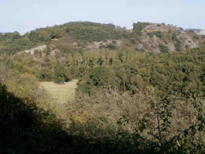 Blick von Unterwegs auf den Mühlenberg