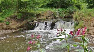 Wasserfall im Sommer